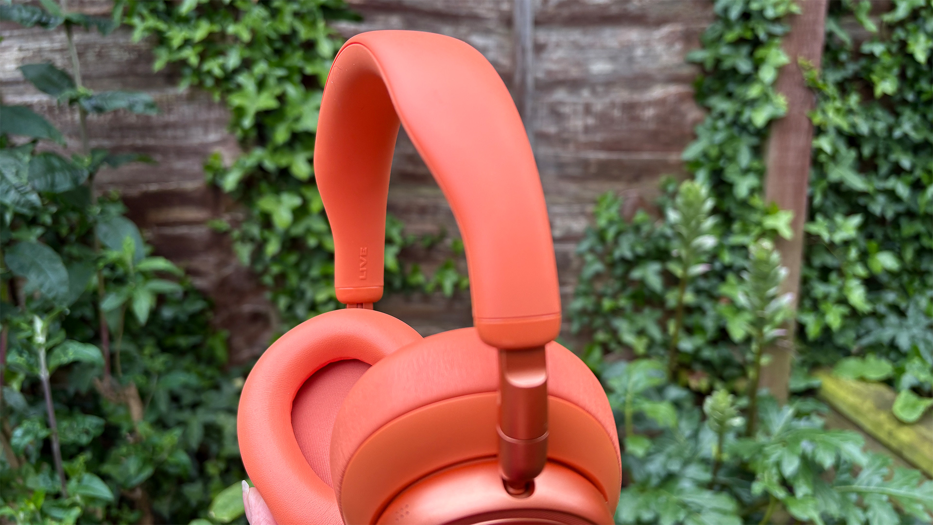 JBL Live 780NC wireless headphones held in hand in front of fence and plants