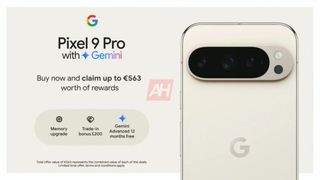 Pixel 9 Promo leak