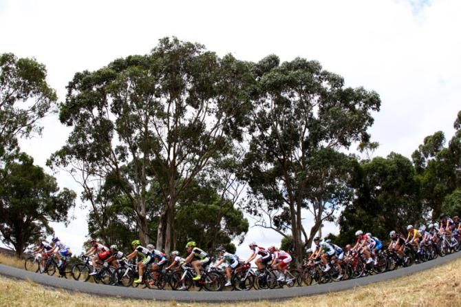 The bunch did not seem in a hurry to catch the break