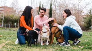 Group of friends with their dogs