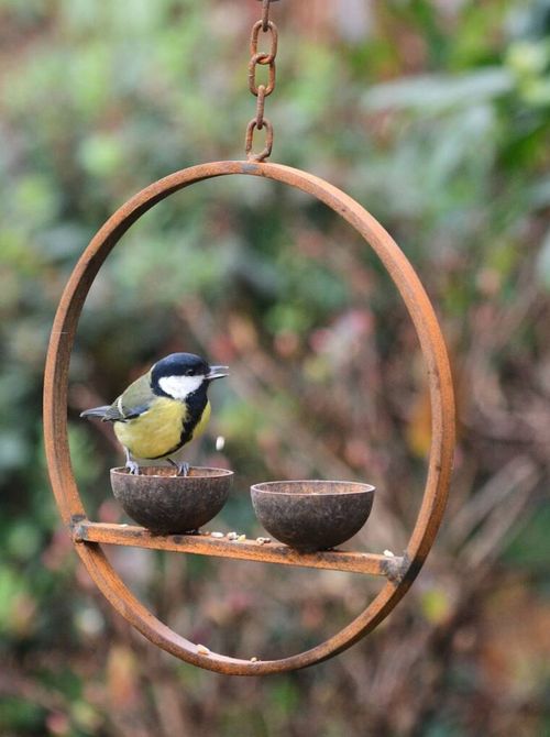 Double Rusty Hanging Bird Feeder