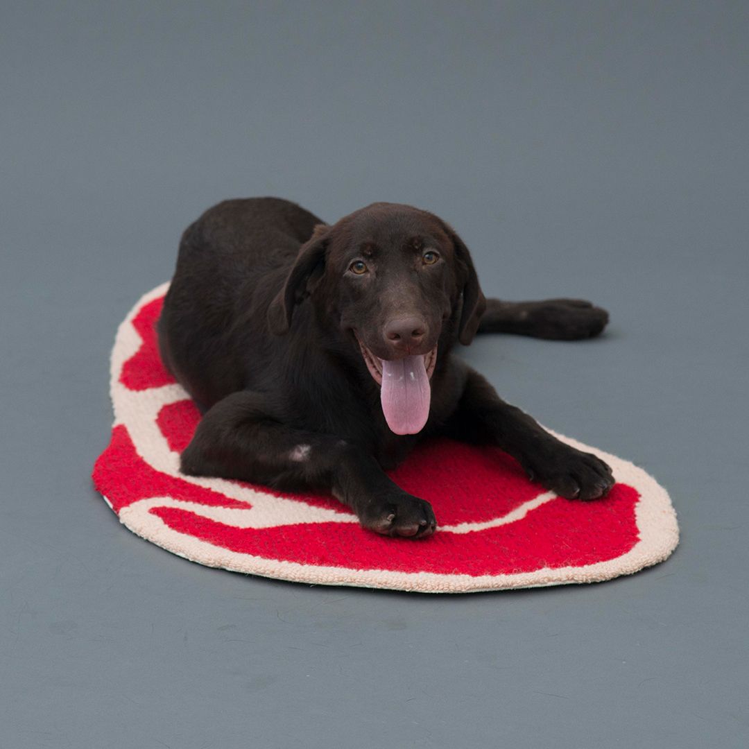 Dog kennel