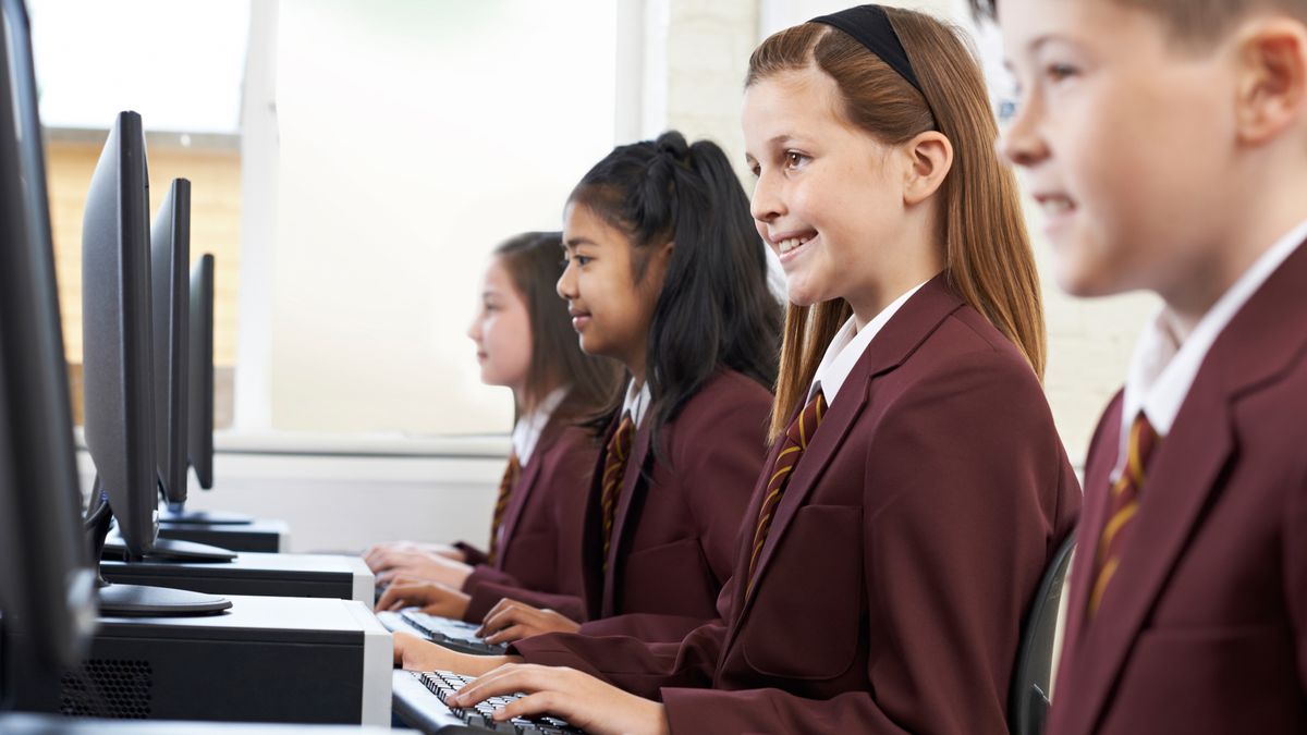 A group of schoolchildren working on PCs