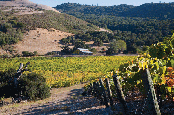Santa Ynez Valley