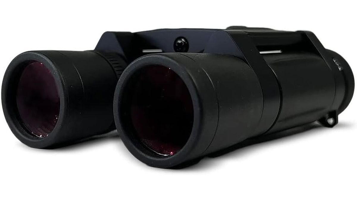 Leica Trinovid 10 x 25 binoculars, on a white background