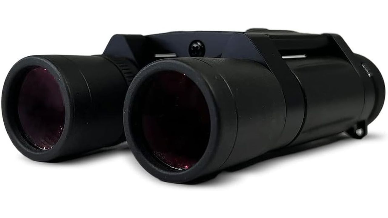 Leica Trinovid 10 x 25 binoculars, on a white background