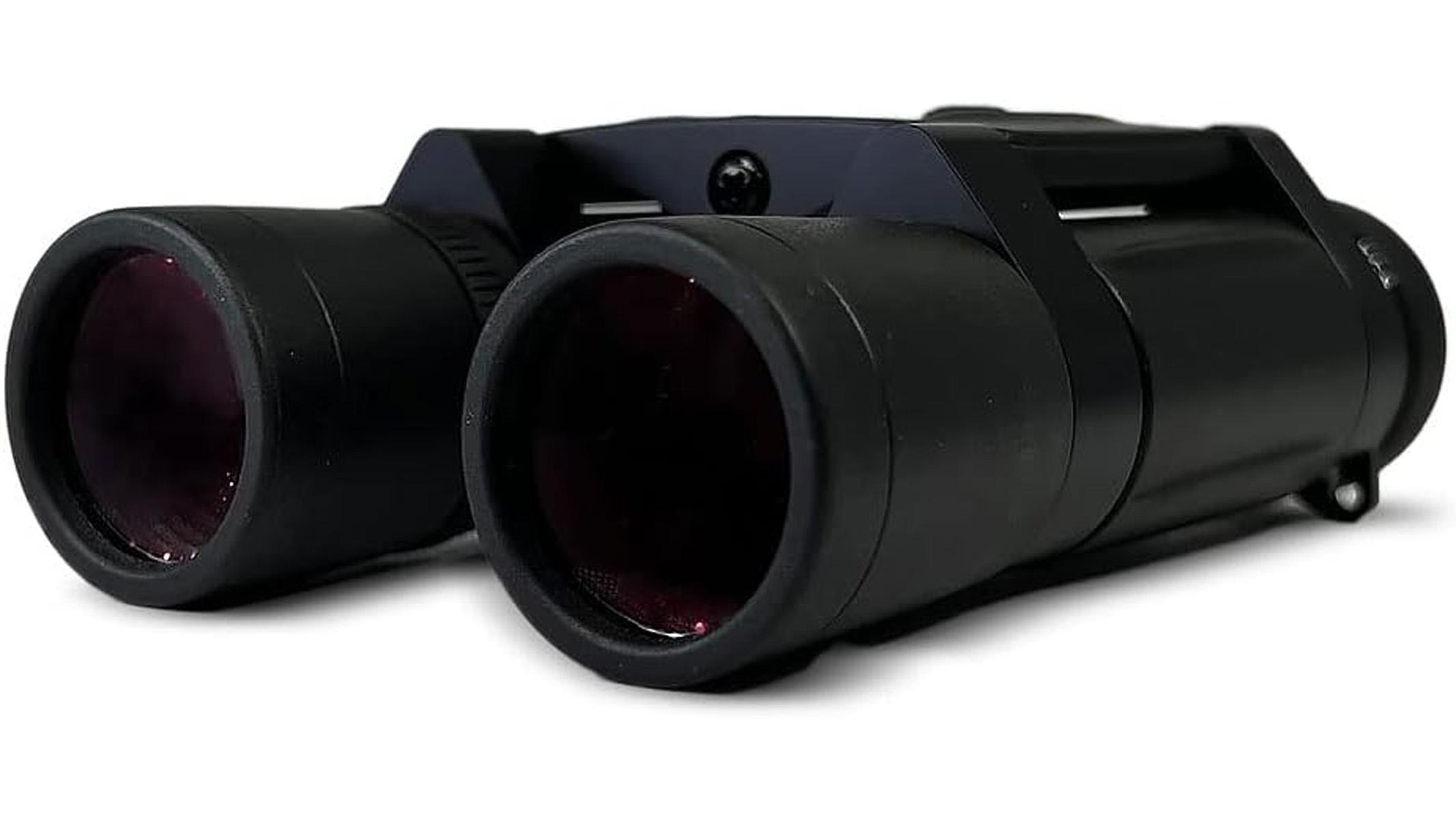 Leica Trinovid 10 x 25 binoculars, on a white background