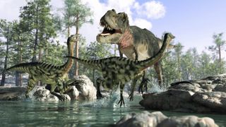 This artistic representation shows Tyrannosaurus rex dinosaur hunting Gallimimus dinosaurs during the Cretaceous period.
