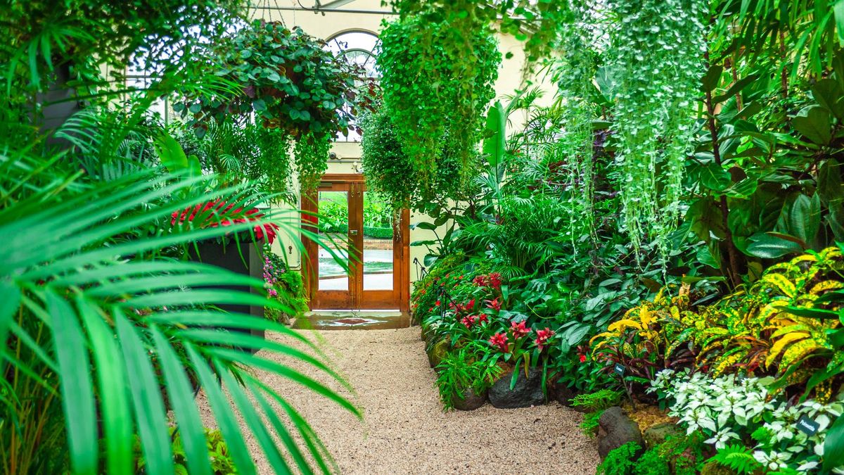 These 6 Summer-Flowering Houseplants Bring Orangery-Chic to Every Room, No Conservatory Needed