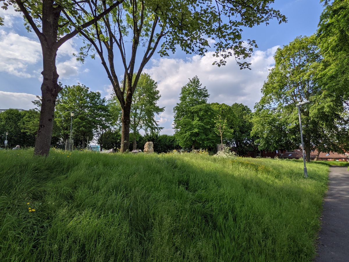 Google Pixel 4A 5G Camera