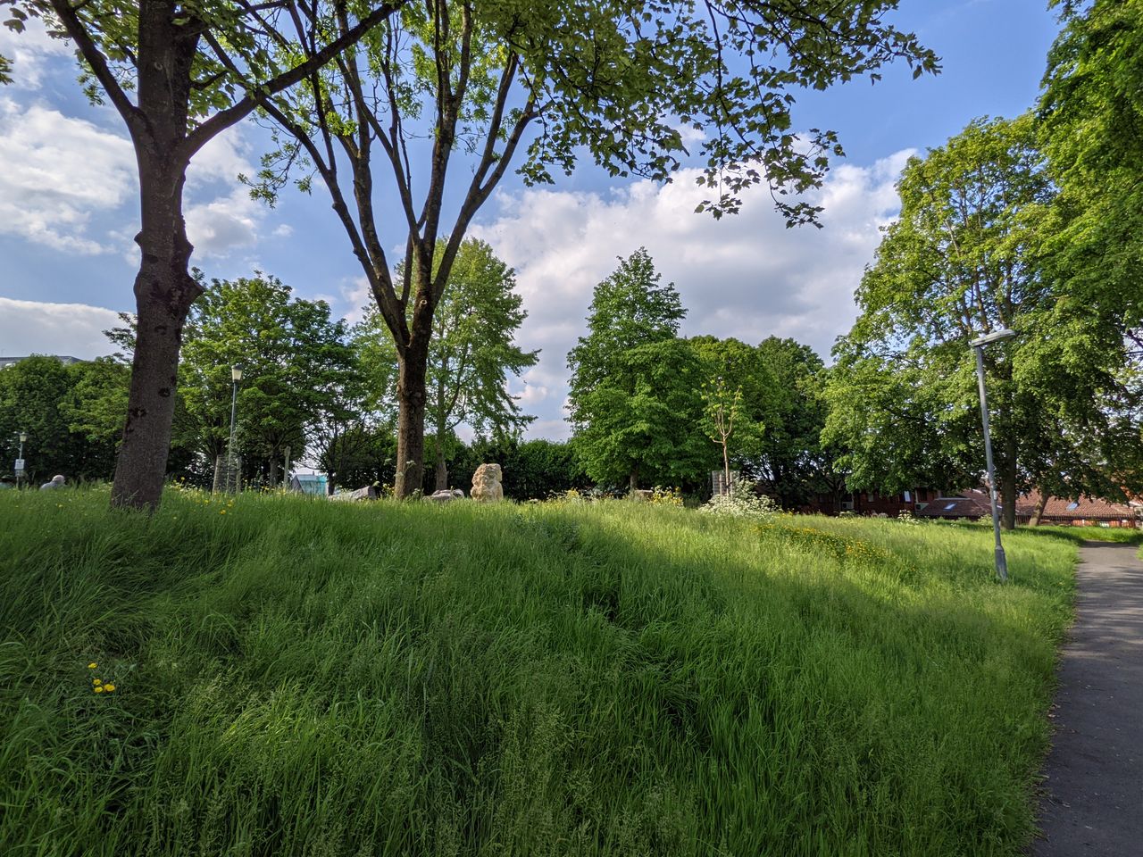 Google Pixel 4A 5G Camera