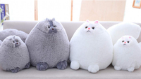 The Winsterch Cuddly Plush Cat