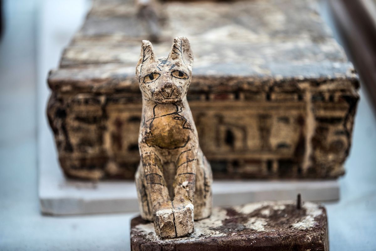 This cat statue, along with many others, was discovered in a tomb discovered at Saqqara in Egypt.