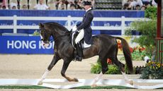 Bj&ouml;rsells Briar has died aged 31