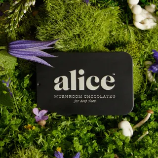 Alice Mushrooms, Nightcap Functional Mushroom Chocolates