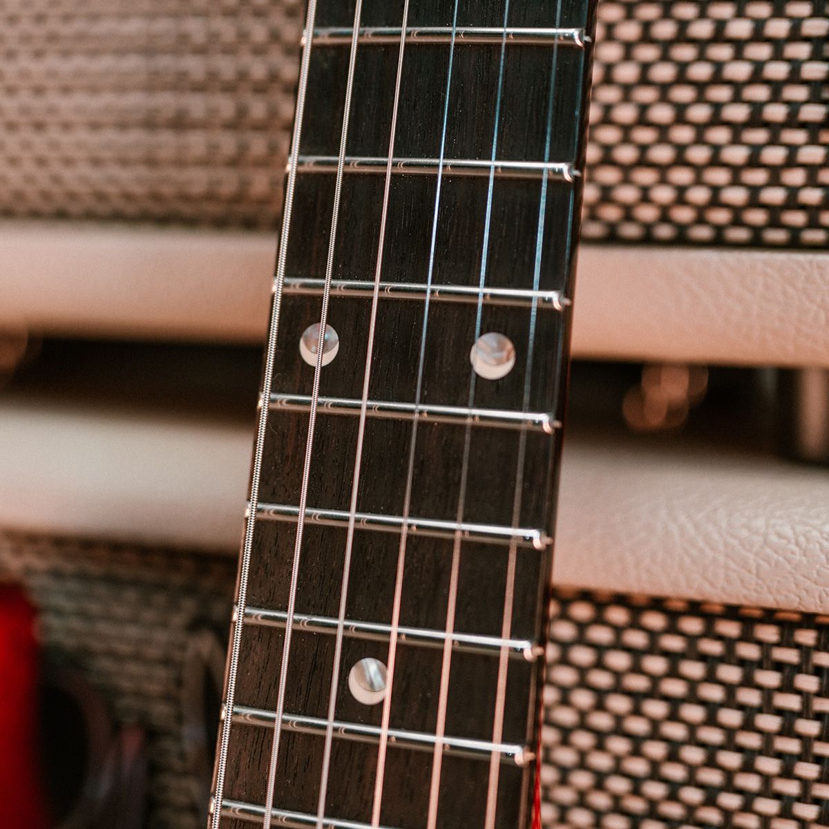 DGT Semi-Hollow fingerboard
