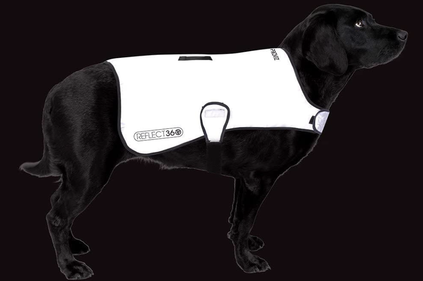 Proviz high vis dog coat