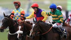 cheltenham racecard