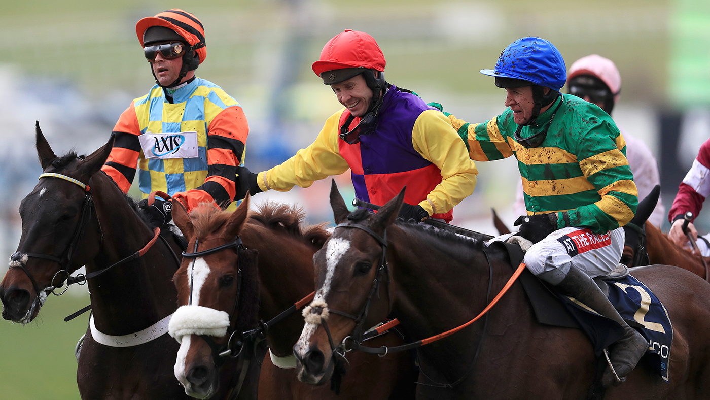 cheltenham racecard