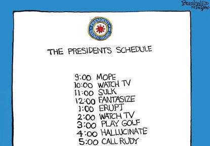 Political Cartoon U.S. Trump schedule