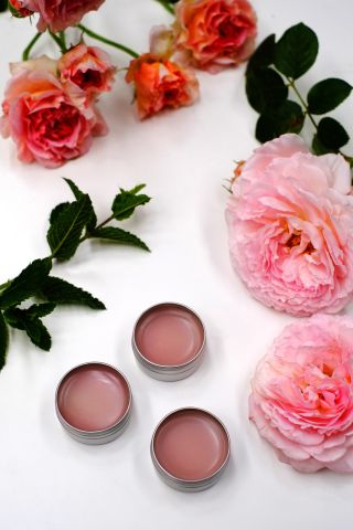Pink lip balms and roses
