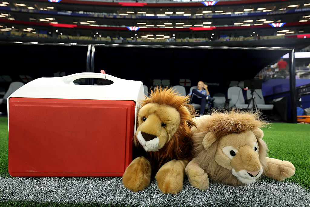 Lion plushes seen on the touchline of the AT&amp;amp;T Stadium