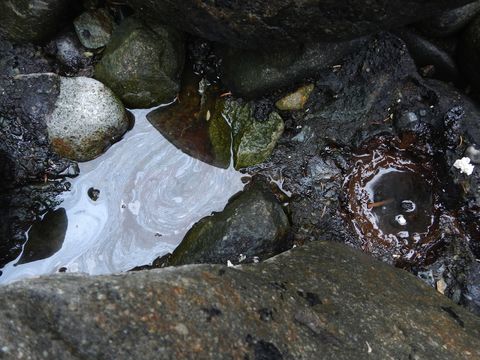 Exxon Valdez 25th Anniversary: 5 Facts About the Historic Spill Live