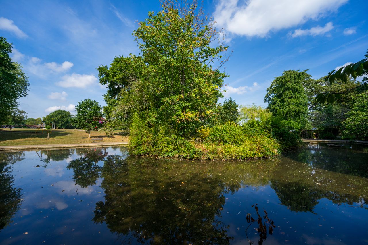 Viltrox AF 14mm f/4 Air example image