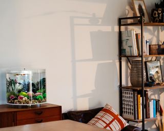 biOrb aquarium by OASE in home office idea