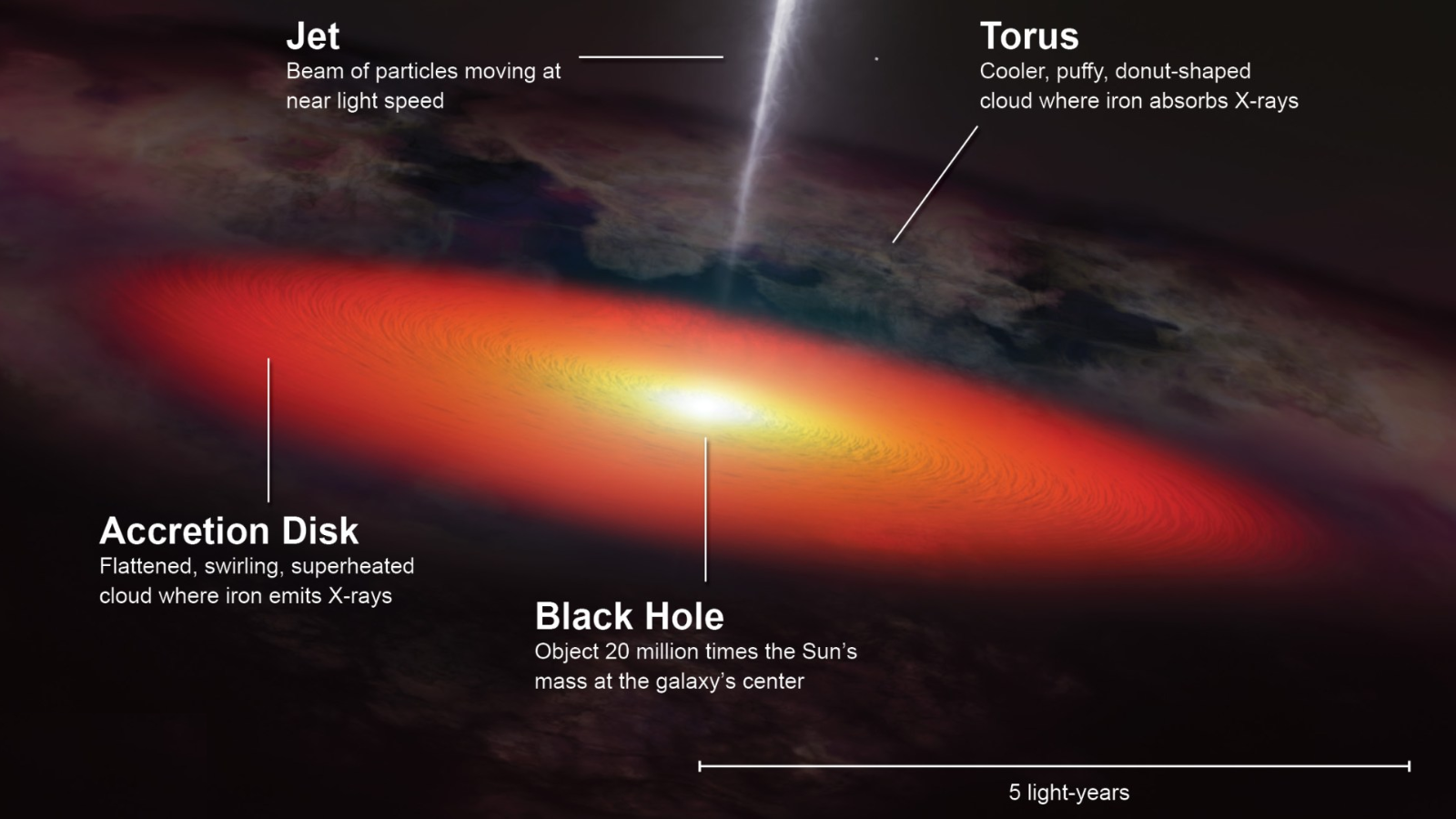 An illustration showing the anatomy of the supermassive black hole and AGN at the heart of NGC 4151.