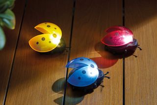 Aldi garden lighting solar ladybird lights