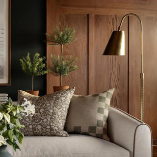 Three throw pillows on a gray couch, surrounded by plants and next to a tall gold standing lamp.