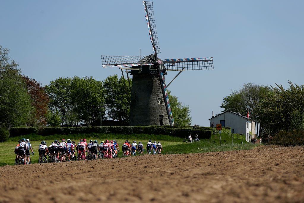 The peloton roll through the Dutch countryside