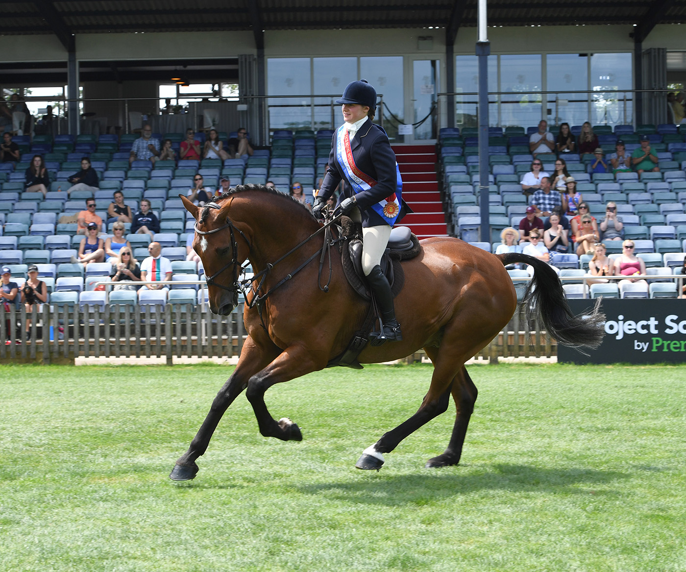 RIHS-W-Hunter44334-23.07.21.jpg