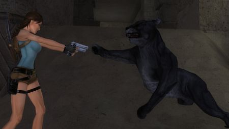 Tomb Raider: Anniversary guide