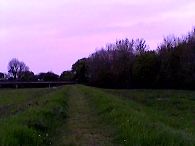 cheap drone poor quality sample image of trees and sky