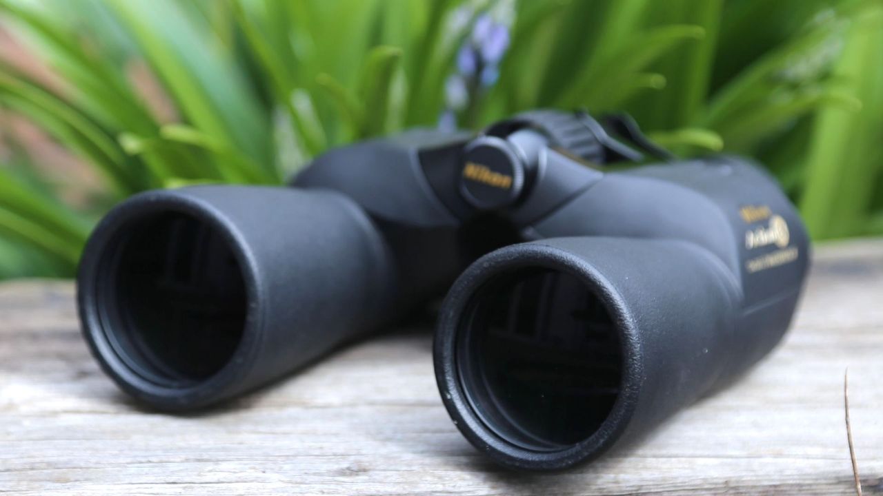 Nikon Action EX 12x50 binoculars