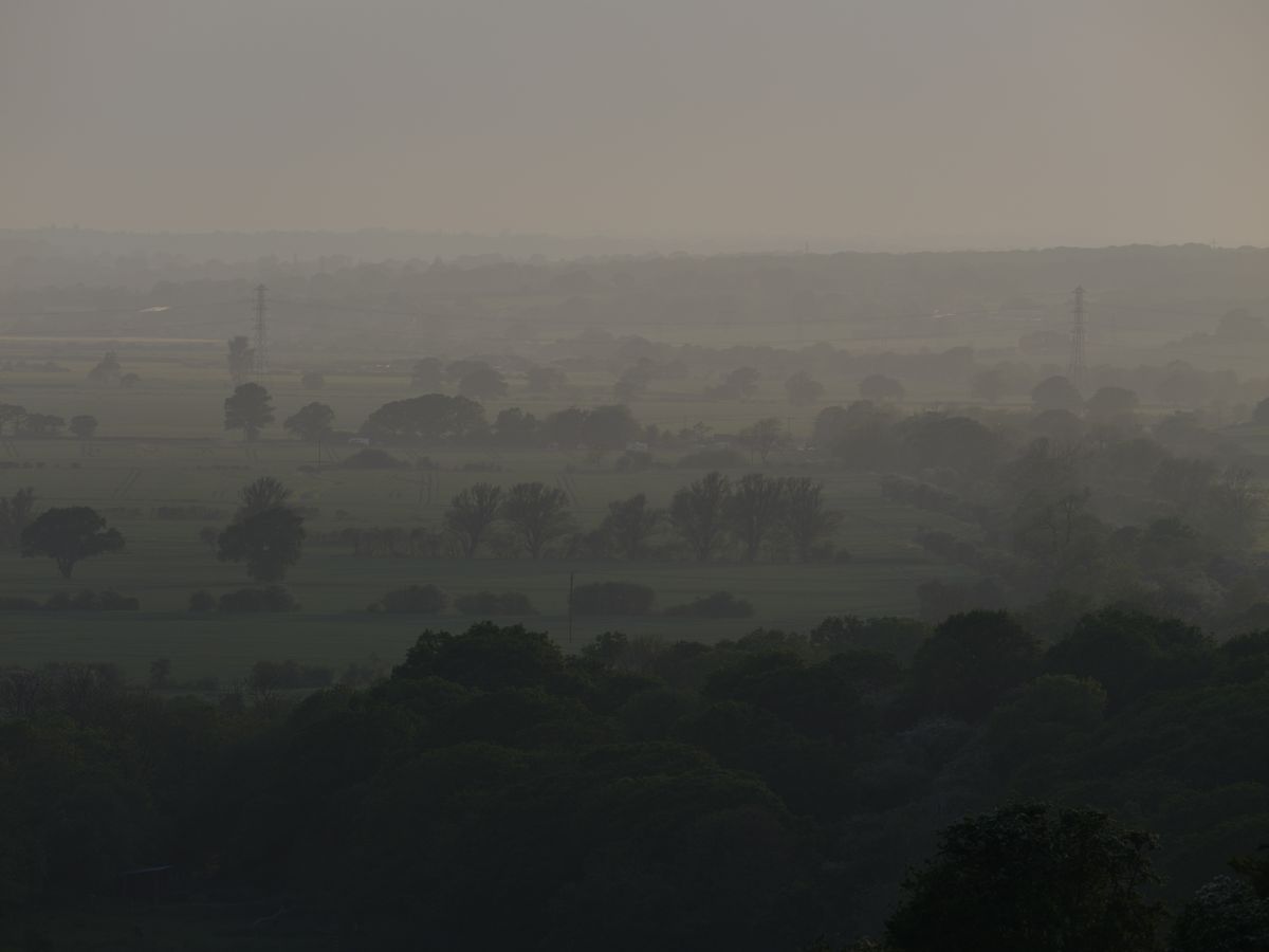 Fields and trees surrounded in mist