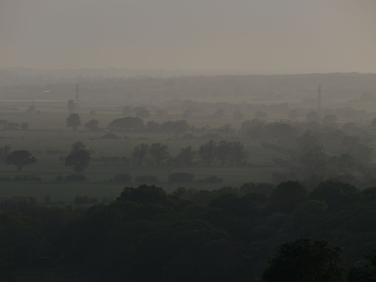 Fields and trees surrounded in mist