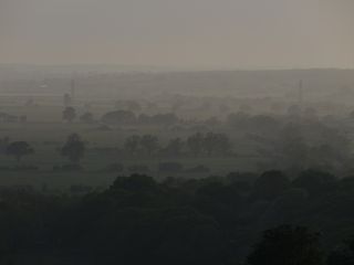 Fields and trees surrounded in mist
