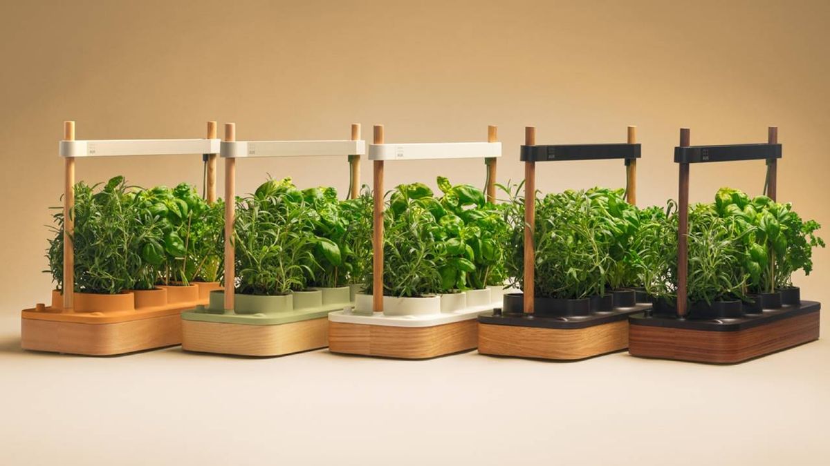 Auk upgrades its five-star smart garden, and it’s gotten bigger and ...