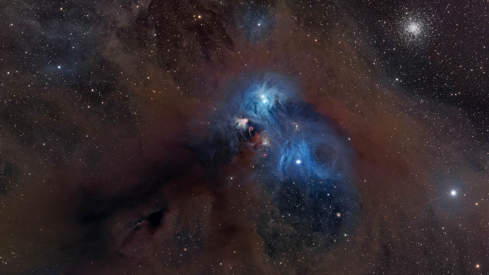 A deep space scene in which swirling brown clouds of molecular dusk appear to form the hairy outline of a baboon&#039;s face, while blue emission nebulas appear like eyes in the middle of the image, and a knot of dense material forms a dark mouth to the lower left. A globular star cluster is visible shining to the upper right of the shot.