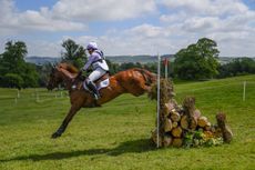 Bicton Horse Trials cross-country