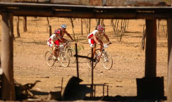James Banner-Smith, Abby McLennan and Geert Matthijs pass by a cattle station.