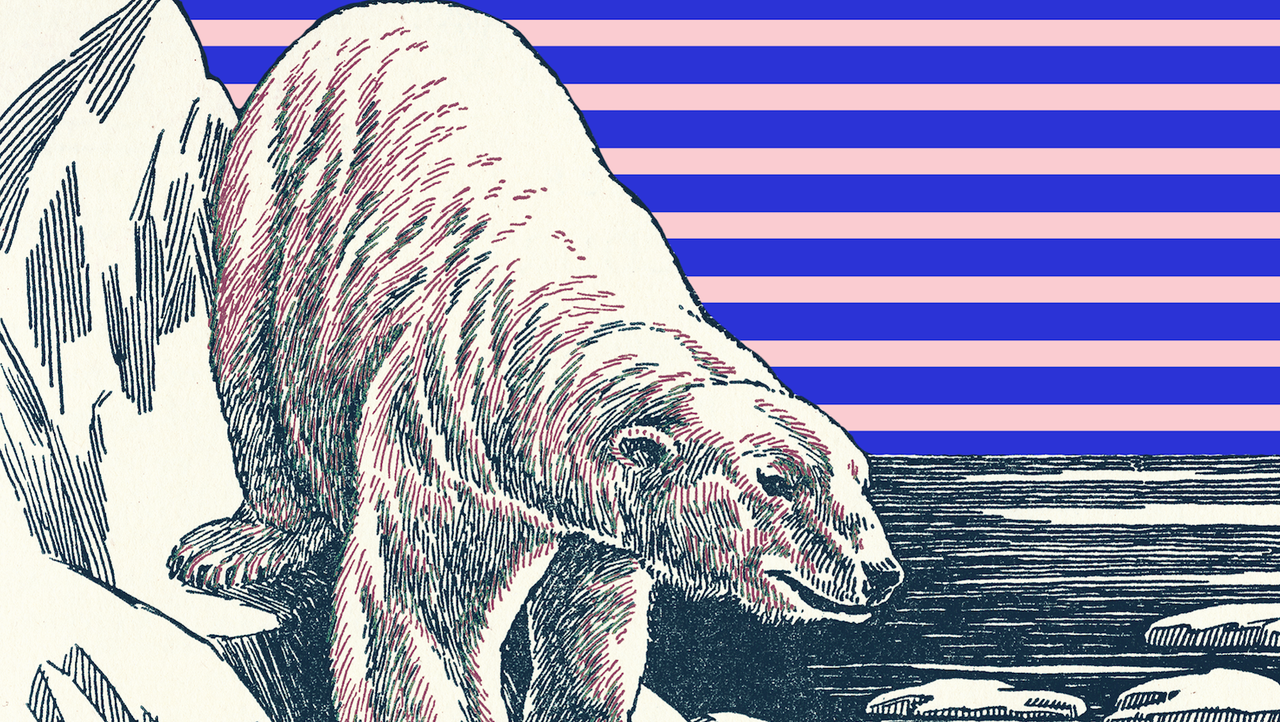 Walrus, Line art, Illustration, Organism, Marine mammal, Printmaking, Adaptation, Drawing, Art, Coloring book, 