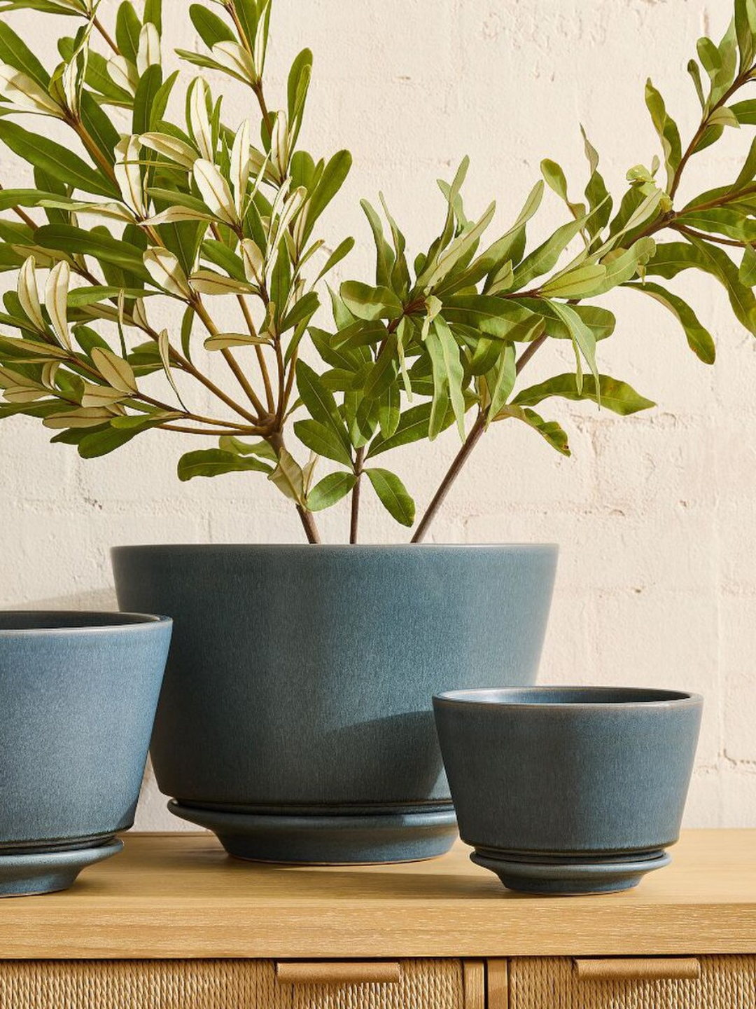 A blue tabletop planter with a saucer from West Elm