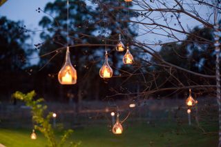 battery operated lights hanging in a tree