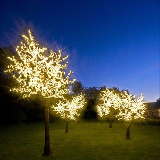 electric avenue sparkling tree