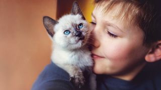 Young body with Birman kitten on his shoulder, one of the best cats for kids