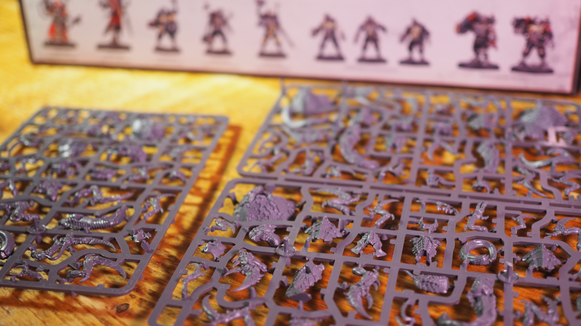 Sprues lying on a wooden table in front of the Kill Team: Typhon box
